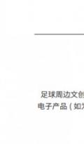 《中国足球环境及未来发展白皮书（2025）》发布：100吋大屏电视成球迷客厅新标配