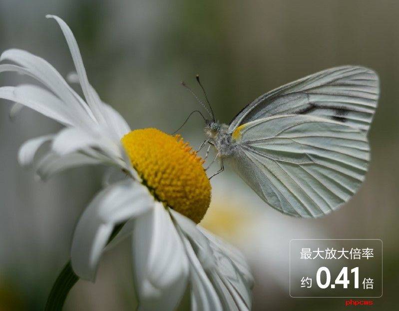 6 近摄性能.jpg